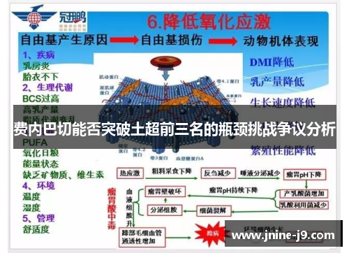 费内巴切能否突破土超前三名的瓶颈挑战争议分析