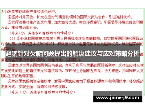 赵鹏针对欠薪问题提出的解决建议与应对策略分析